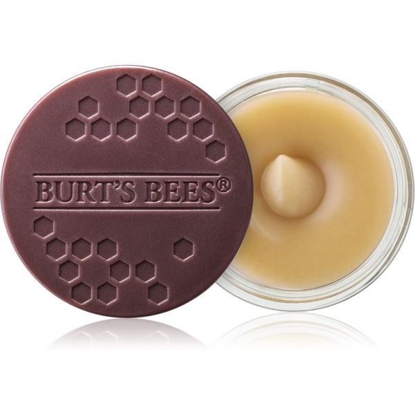 Burt’s Bees Burt’s Bees Lip Scrub piling za usne s hranjivim učinkom 7.08 g
