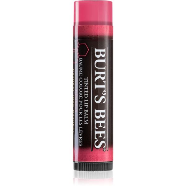 Burt’s Bees Burt’s Bees Tinted Lip Balm balzam za usne nijansa Hibiscus 4.25 g
