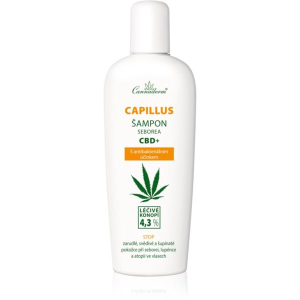 Cannaderm Cannaderm Seborea CBD+ šampon protiv peruti 150 ml