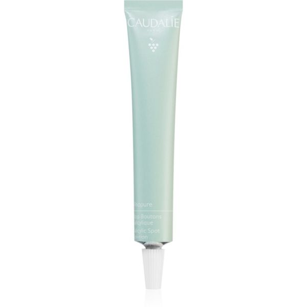 Caudalie Caudalie Vinopure lokalna njega protiv akni sa salicilnom kiselinom 15 ml