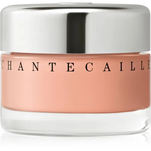 Chantecaille Chantecaille Future Skin Gel Foundation hidratantni puder s posvjetljujućim učinkom Nude 4N 30 g