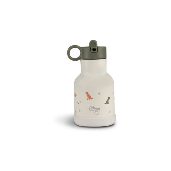 Citron Citron Water Bottle 250 ml (Stainless Steel) boca za vodu od nehrđajućeg čelika Dino 250 ml