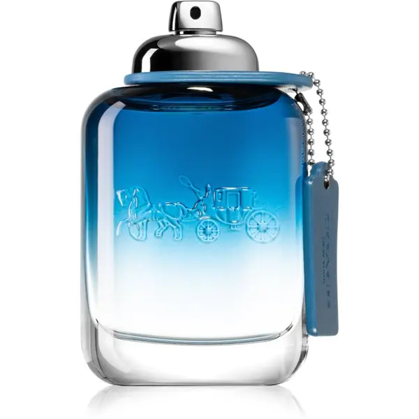 Coach Coach Blue toaletna voda za muškarce 100 ml