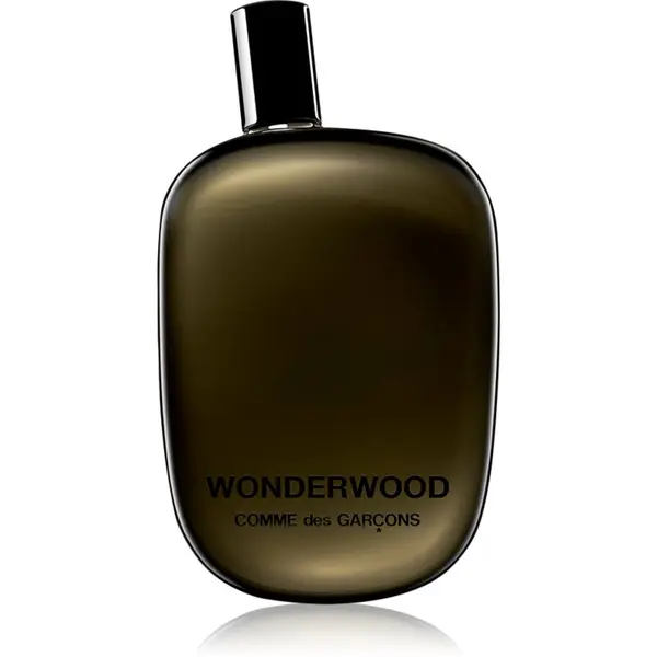 Comme des Garçons Comme des Garçons Wonderwood parfemska voda za muškarce 100 ml