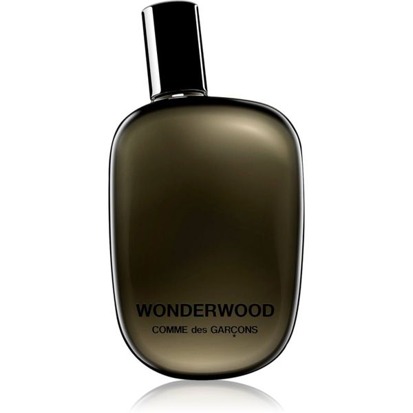 Comme des Garçons Comme des Garçons Wonderwood parfemska voda za muškarce 50 ml