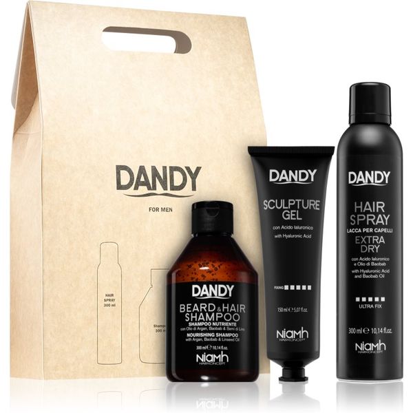 DANDY DANDY Styling gift set poklon set za muškarce