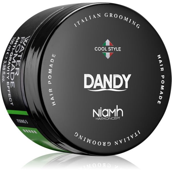 DANDY DANDY Water Pomade Anti-Gravity Effect pomada za kosu za jako učvršćivanje 100 ml