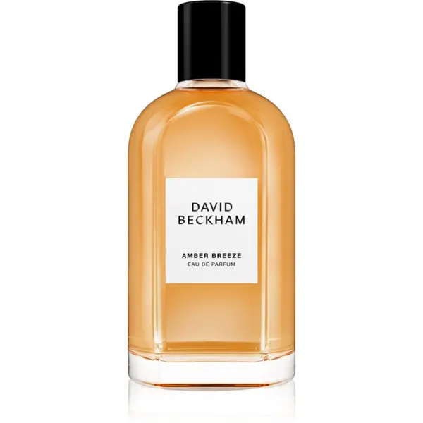 David Beckham David Beckham Amber Breeze parfemska voda za muškarce 100 ml