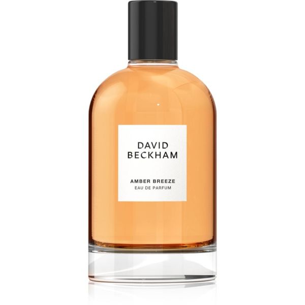 David Beckham David Beckham Amber Breeze parfemska voda za muškarce 100 ml