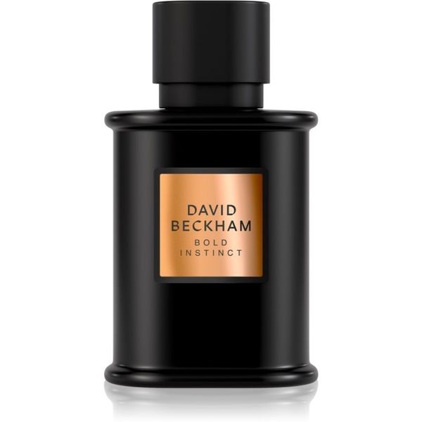 David Beckham David Beckham Bold Instinct parfemska voda za muškarce 50 ml
