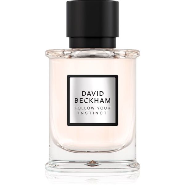 David Beckham David Beckham Follow Your Instinct parfemska voda za muškarce 50 ml