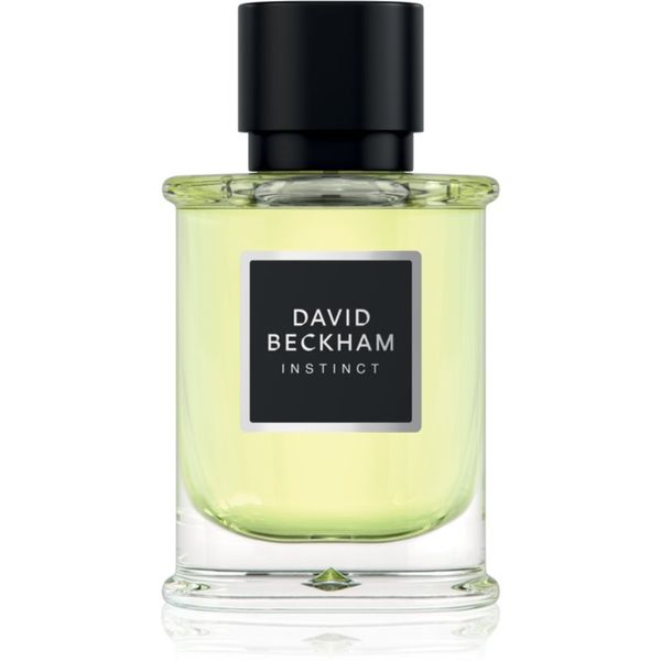 David Beckham David Beckham Instinct parfemska voda za muškarce 50 ml