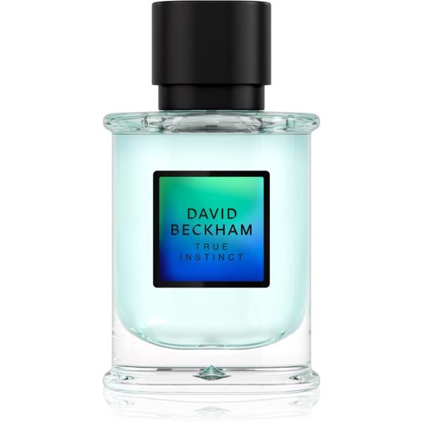 David Beckham David Beckham True Instinct parfemska voda za muškarce 50 ml
