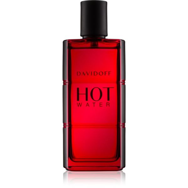 Davidoff Davidoff Hot Water toaletna voda za muškarce 110 ml