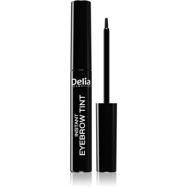 Delia Cosmetics Delia Cosmetics Eyebrow Expert boja za obrve nijansa 1.0 BLACK 6 ml