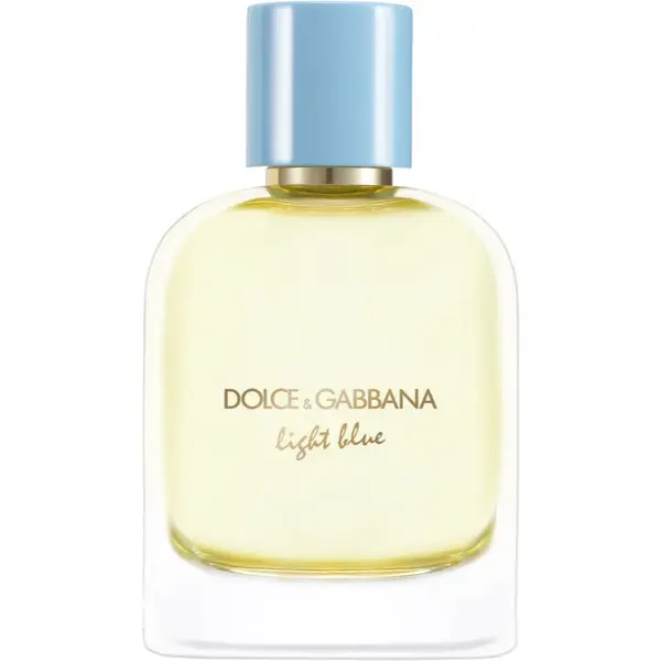 Dolce&Gabbana Dolce&Gabbana Light Blue Pour Homme Eau de Parfum parfemska voda za muškarce 100 ml