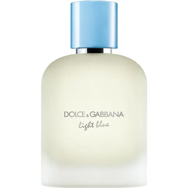 Dolce&Gabbana Dolce&Gabbana Light Blue Pour Homme Eau de Toilette toaletna voda za muškarce 100 ml