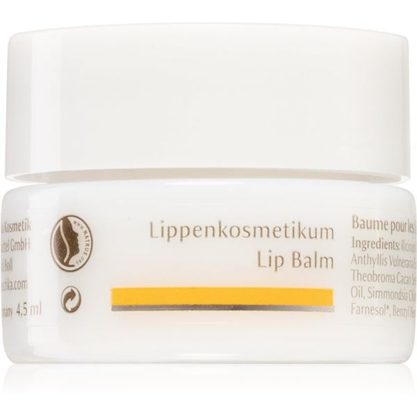 Dr. Hauschka Dr. Hauschka Eye And Lip Care balzam za usne s hranjivim učinkom 4,5 ml