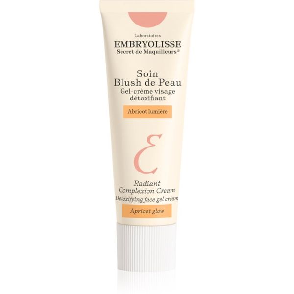 Embryolisse Embryolisse Artist Secret posvjetljujuća dnevna krema s detoksikacijskim učinkom 30 ml