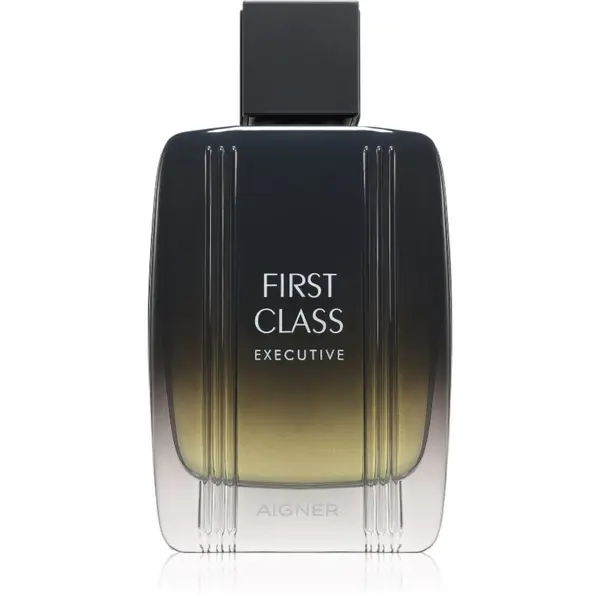 Etienne Aigner Etienne Aigner First Class Executive toaletna voda za muškarce 100 ml