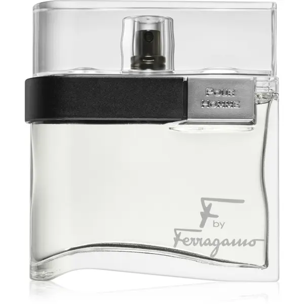 Ferragamo Ferragamo F by Ferragamo toaletna voda za muškarce 100 ml