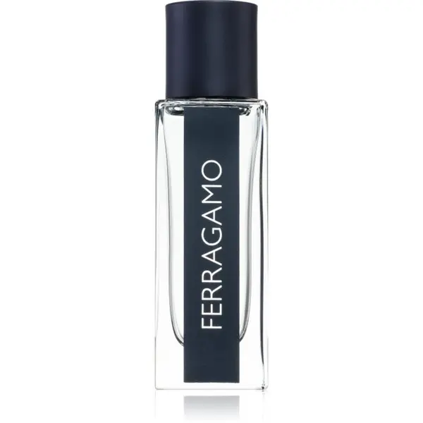 Ferragamo Ferragamo Ferragamo toaletna voda za muškarce 30 ml