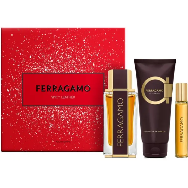 Ferragamo Ferragamo Spicy Leather poklon set za muškarce