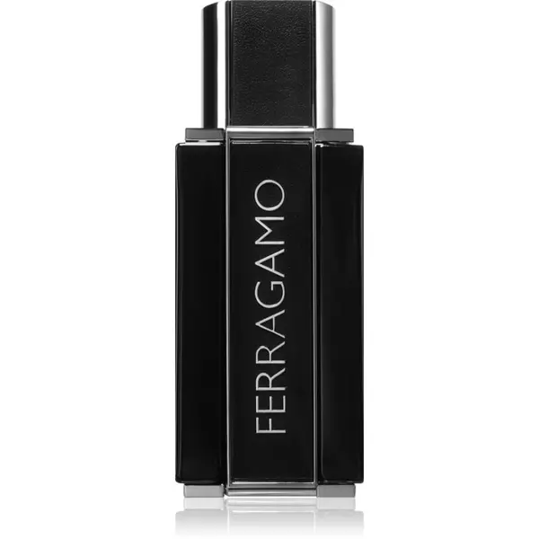 Ferragamo Ferragamo Sublime Leather parfemska voda za muškarce 50 ml