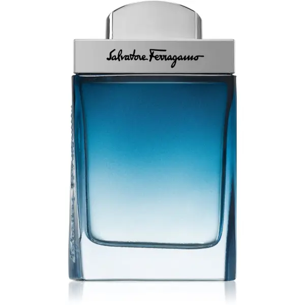Ferragamo Ferragamo Subtil Pour Homme toaletna voda za muškarce 50 ml
