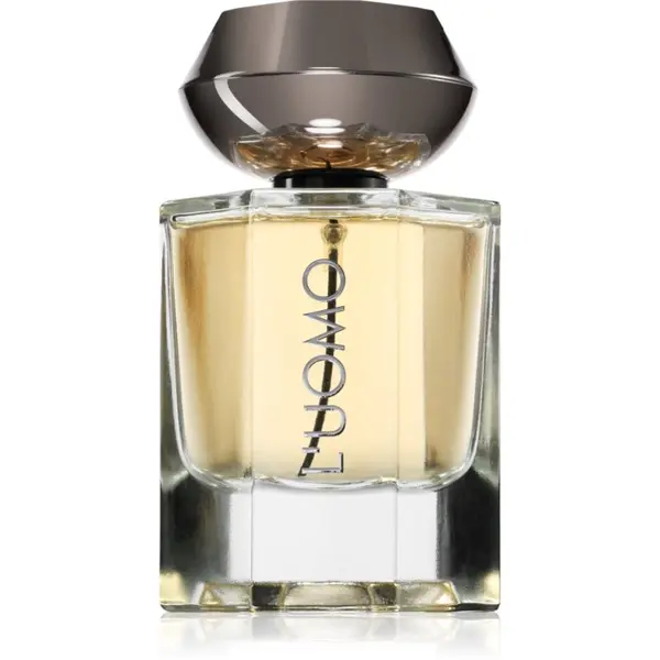 Fragrance World Fragrance World Fw L'Uomo parfemska voda za muškarce 100 ml