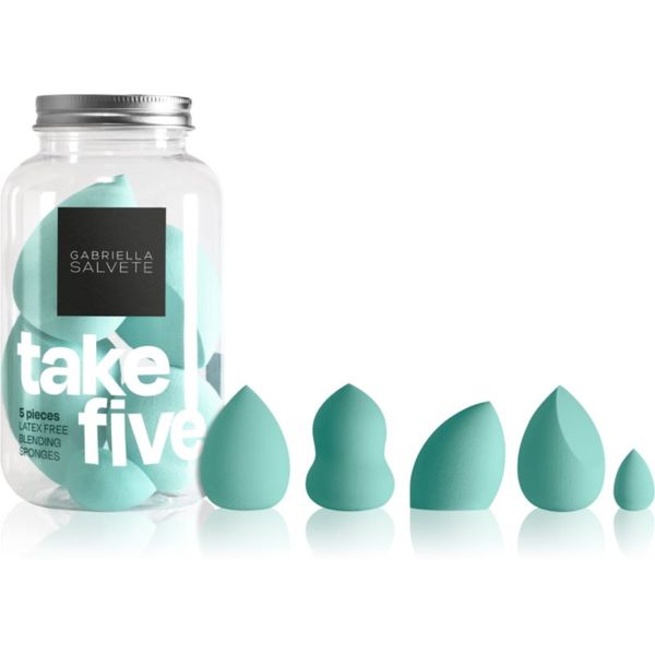 Gabriella Salvete Gabriella Salvete Take Five Light Green set aplikatora (za lice)