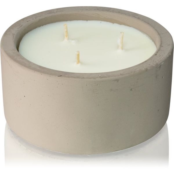 Gentlemen's Hardware Gentlemen's Hardware Mountain Sage mirisna svijeća 198 g