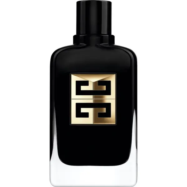 GIVENCHY GIVENCHY Gentleman Society Ambreé parfemska voda za muškarce 100 ml