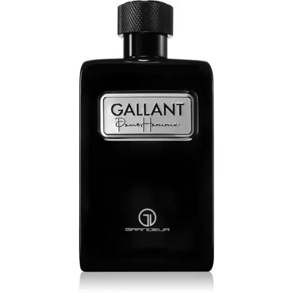 Grandeur Grandeur Gallant parfemska voda za muškarce 100 ml