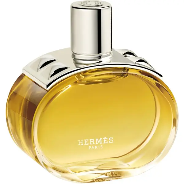 HERMÈS HERMÈS Barénia Eau de Parfum Intense parfemska voda intense za žene 100 ml