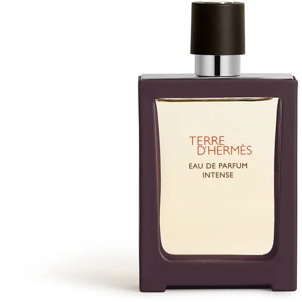 HERMÈS HERMÈS Terre d’Hermès Eau de Parfum Intense parfemska voda intense za muškarce 30 ml