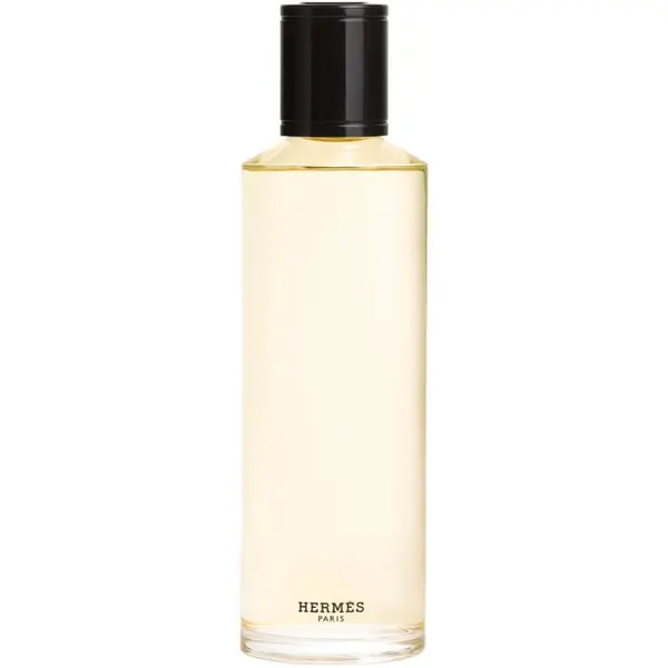 HERMÈS HERMÈS Terre d’Hermès Eau de Parfum Intense parfemska voda intense zamjensko punjenje za muškarce 200 ml