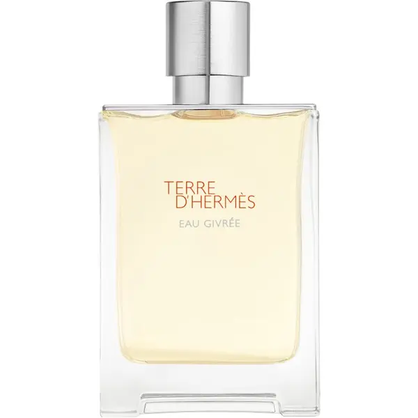 HERMÈS HERMÈS Terre d’Hermès Eau Givrée parfemska voda punjiva za muškarce 100 ml