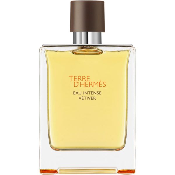 HERMÈS HERMÈS Terre d’Hermès Eau Intense Vétiver parfemska voda za muškarce 200 ml