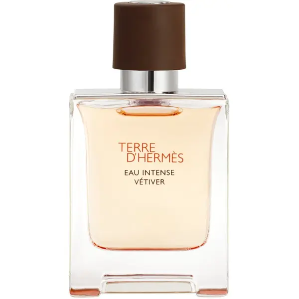 HERMÈS HERMÈS Terre d’Hermès Eau Intense Vétiver parfemska voda za muškarce 50 ml
