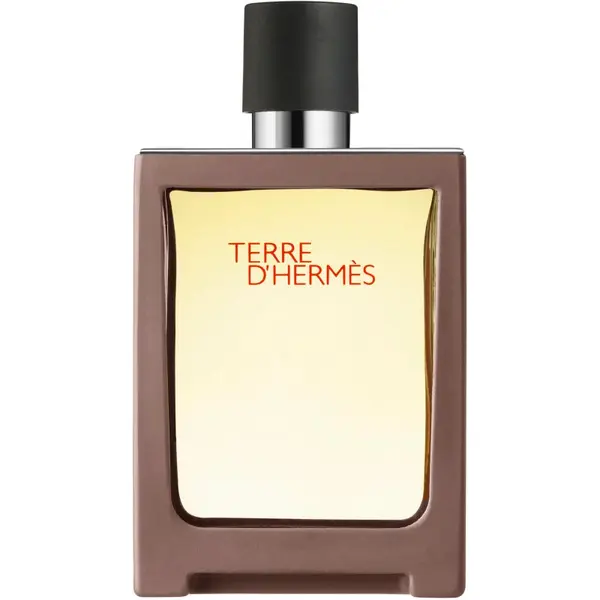 HERMÈS HERMÈS Terre d’Hermès toaletna voda putni sprej za muškarce 30 ml