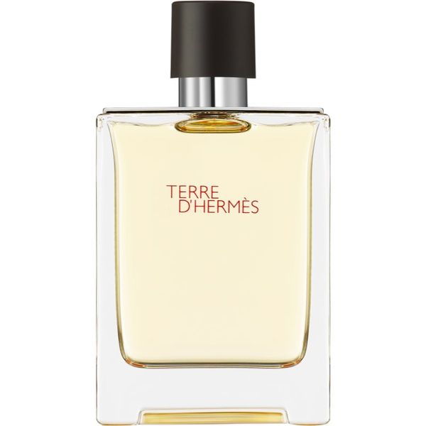 HERMÈS HERMÈS Terre d’Hermès toaletna voda za muškarce 100 ml