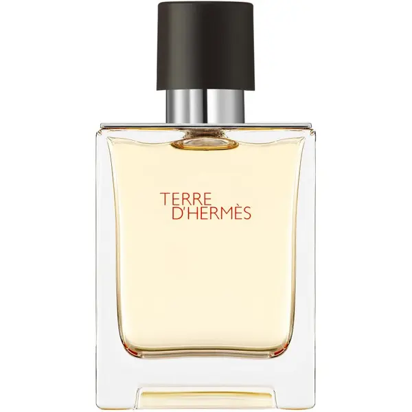 HERMÈS HERMÈS Terre d’Hermès toaletna voda za muškarce 50 ml