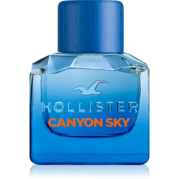 Hollister Hollister Canyon Sky For Him toaletna voda za muškarce 50 ml