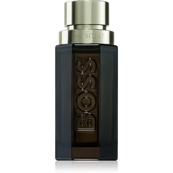 Hugo Boss Hugo Boss BOSS The Scent Magnetic for him parfemska voda za muškarce 50 ml