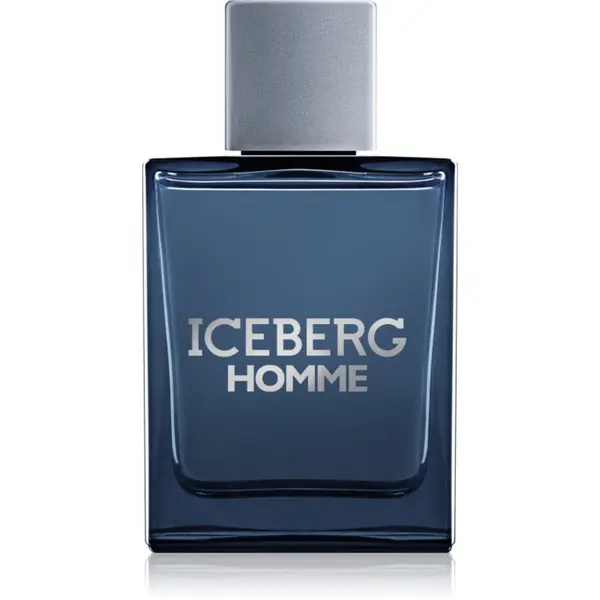 Iceberg Iceberg Homme toaletna voda za muškarce 100 ml