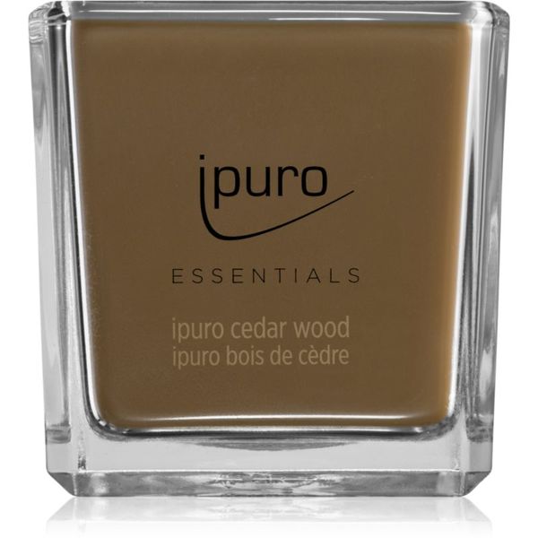 ipuro ipuro Essentials Cedar Wood mirisna svijeća 125 g