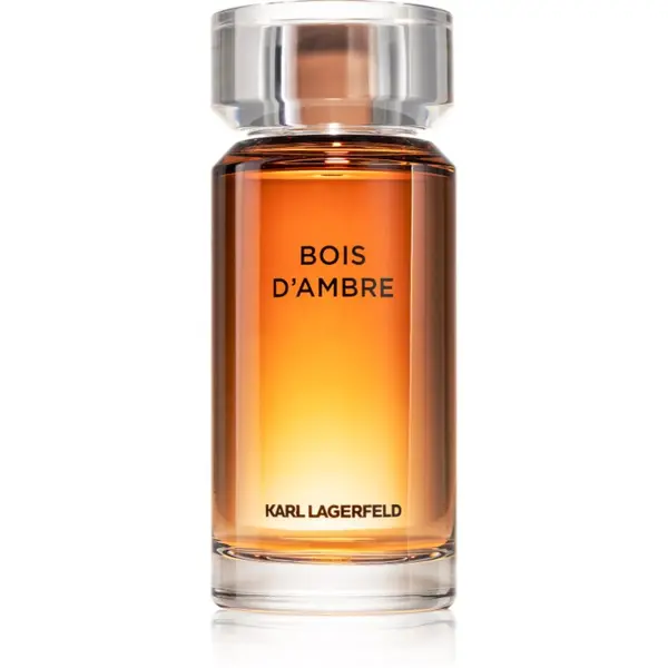 Karl Lagerfeld Karl Lagerfeld Bois d´Ambre toaletna voda za muškarce 100 ml