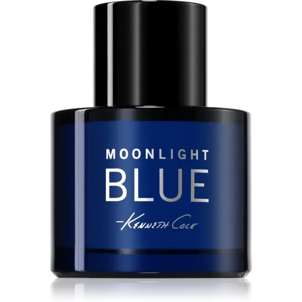 Kenneth Cole Kenneth Cole Moonlight Blue toaletna voda za muškarce 100 ml