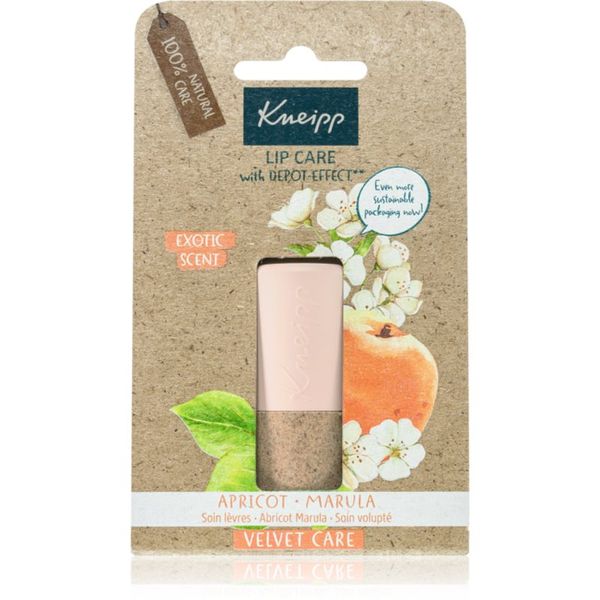 Kneipp Kneipp Apricot & Marula balzam za usne 4,7 g